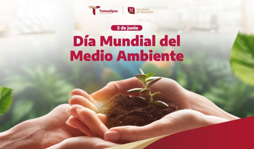 Efeméride – Día Mundial del Medio Ambiente