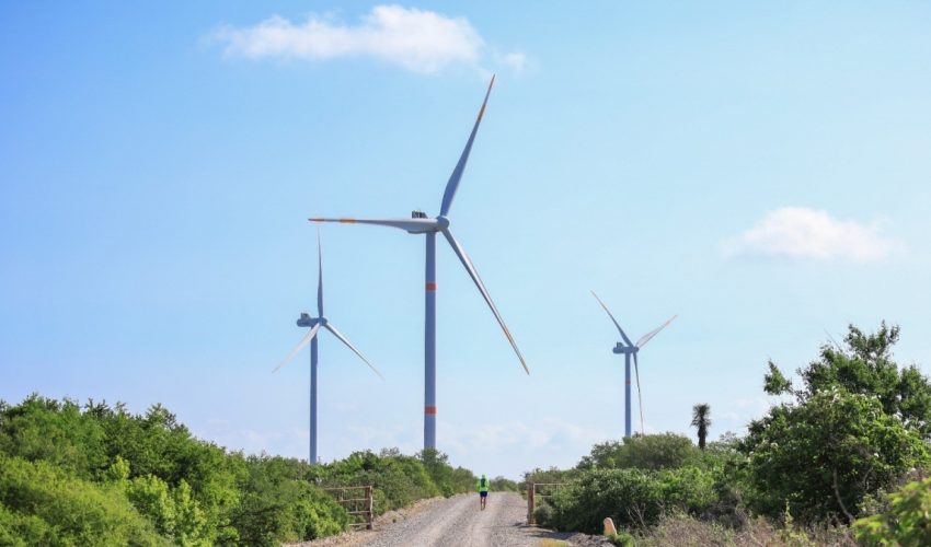 “Tamaulipas aspira a ser el principal estado productor de energía eólica del país”: secretario de Energía