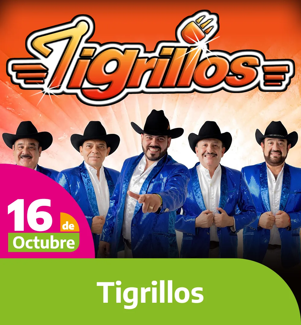 Tigrillos