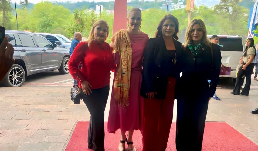 Participa Tamaulipas en reunión del Banco Nacional de Datos e Información sobre Casos de Violencia contra las Mujeres