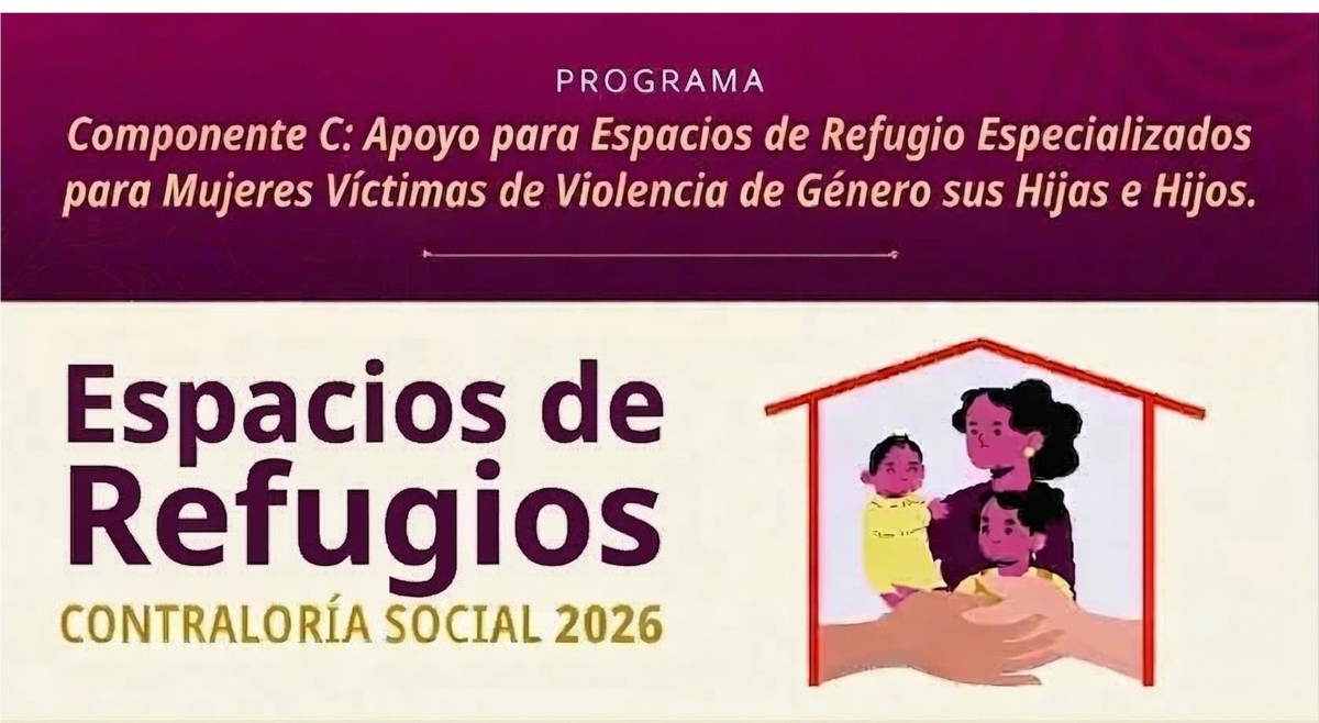 Programa para la Prevención y Detección de las Violencias Feminicidas y la Atención de las Causas