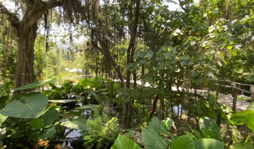 Tamaulipas es punta de lanza en preservación de la biodiversidad