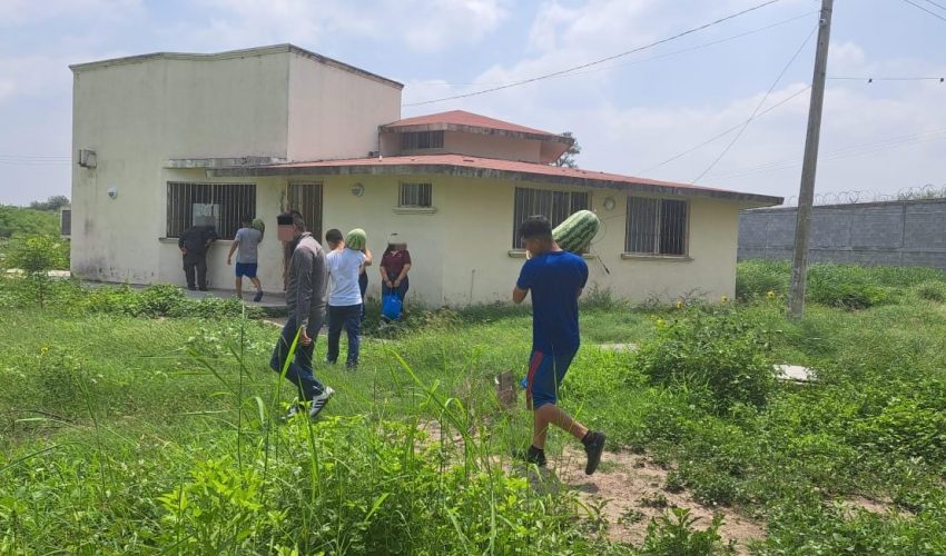 Adolescentes en conflicto con la Ley Penal siembran y cosechan sandías en huertos comunitarios