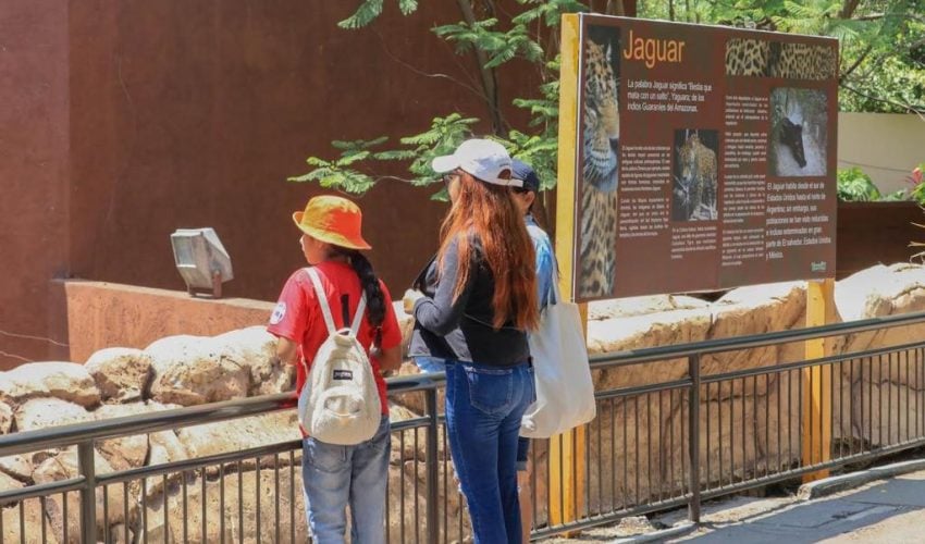 Ante onda de calor, refuerzan medidas en Zoológico Tamatán