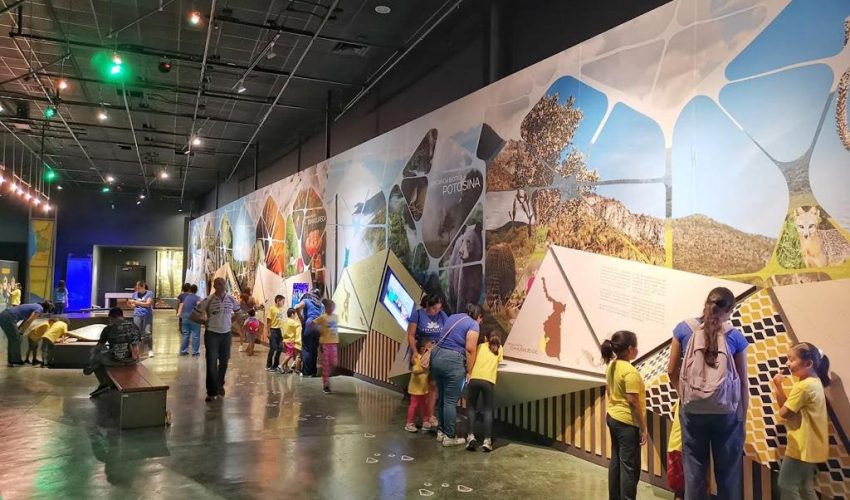 Por vacaciones, parques de Tamaulipas abrirán todos los días: CPBT