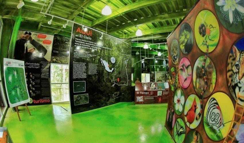 Disfruta las maravillas naturales en el Parque Ecológico Biósfera El Cielo