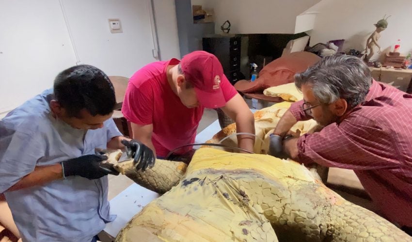 Inicia TAMUX producción de réplicas de animales del pasado