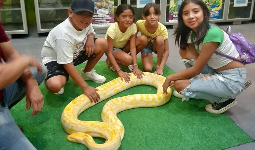 Expone Parque Ecológico de la Biósfera El Cielo especies de reptiles y anfibios a la población