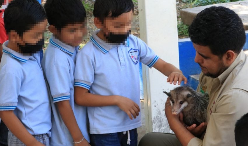 Del zoológico a tu escuela, un programa de “Zoo Visitas”