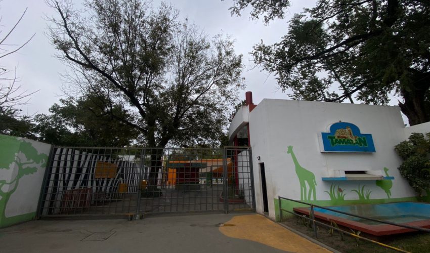 Ante las bajas temperaturas cierran Zoo y Parque Tamatán martes y miércoles