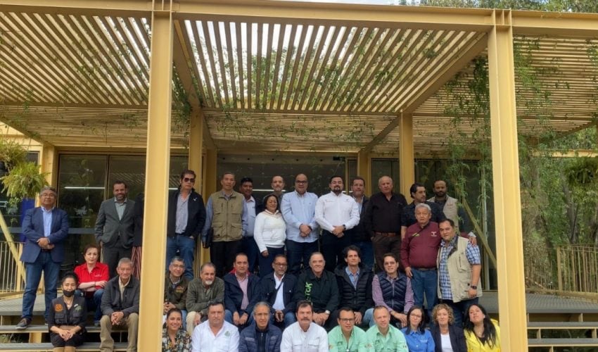 Promueven protección y bienestar animal, a través de certificaciones y resguardos