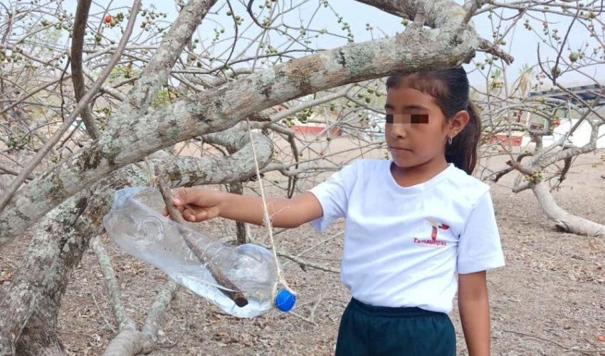 Elaboran niñas y niños bebederos para aves con material reciclable