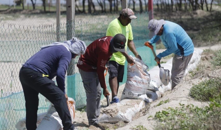 Refuerza Comisión de Parques protección en campos tortugueros de Tamaulipas