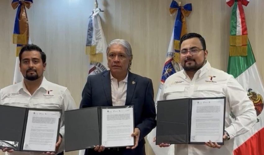 Unen esfuerzos en pro del oso negro americano: Comisión de Parques