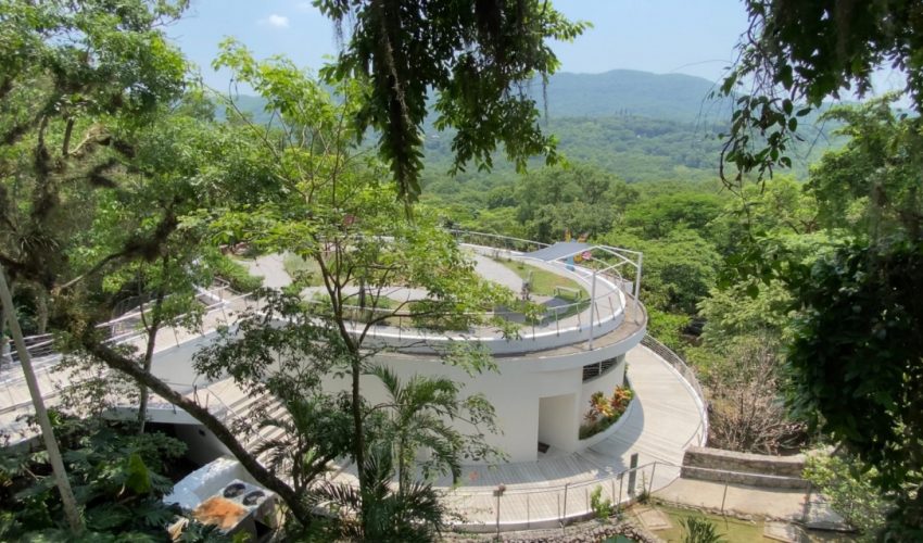 Invitan a Diplomado Internacional en Conservación y Desarrollo Sostenible