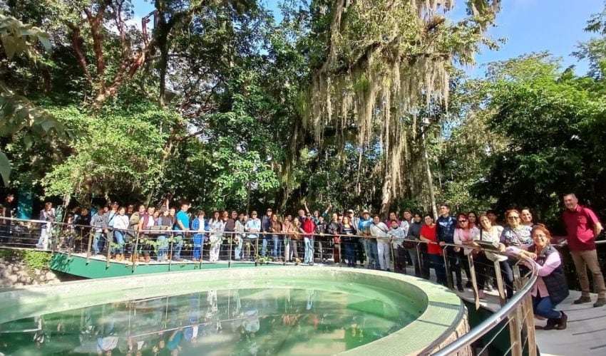 Disfrutan miles de familias espacios recreativos de la Comisión de Parques