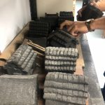 Impulsa Museo Tamux refugios para insectos y jardines polinizadores