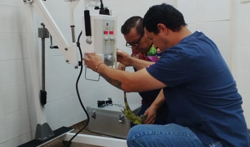 Valía Energía y Gobierno de Tamaulipas fortalecen la atención al jaguar: CPBT