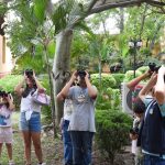 Invitan a jornada de pajareada y exposición fotográfica en el Museo TAMUX