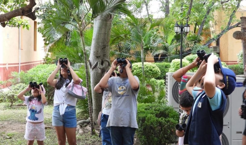 Invitan a jornada de pajareada y exposición fotográfica en el Museo TAMUX