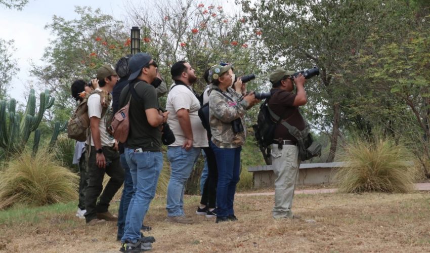 Reúne TAMUX a familias y estudiantes en experiencia de avistamiento de aves