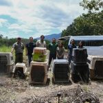 ¡Vuelven a la vida silvestre! Tamaulipas libera especies tras rehabilitación especializada