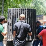 Libera Tamaulipas a jaguar rescatado tras recibir atención médica especializada