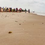 Viven familias la primera liberación pública de tortuga lora en La Pesca
