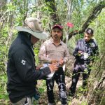 Refuerza Tamaulipas la vigilancia para proteger a la paloma ala blanca