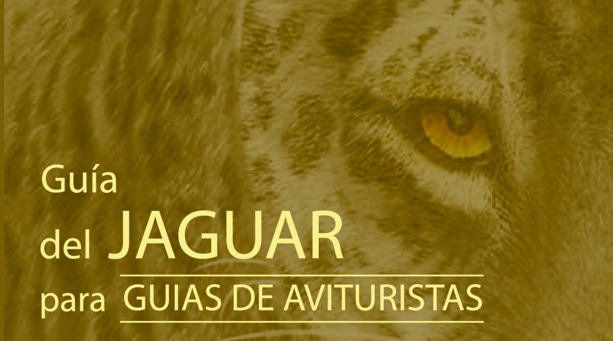 Guía Jaguar
