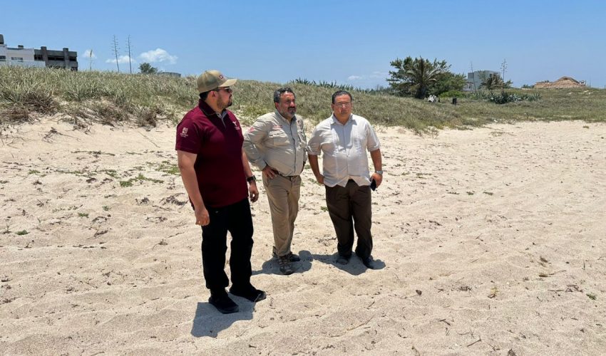 Otorga Federación permisos a Tamaulipas para operar dos campamentos tortugueros