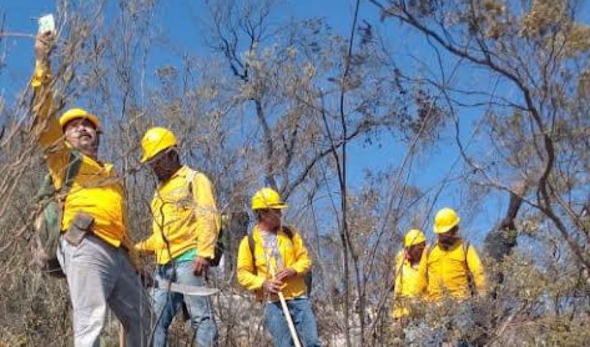 Continúa combate de incendios forestales