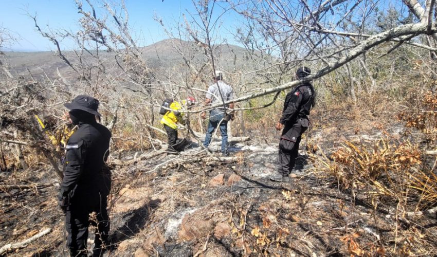 Realiza Protección Civil operaciones permanentes de control de incendios forestales en Tamaulipas