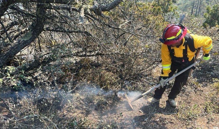 Refuerza Gobierno de Tamaulipas acciones coordinadas para el control de incendio forestal en Miquihuana