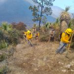 Refuerzan operativo interinstitucional para combatir incendio forestal en Miquihuana