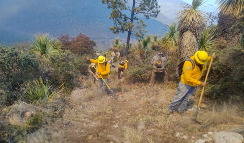 Refuerzan operativo interinstitucional para combatir incendio forestal en Miquihuana