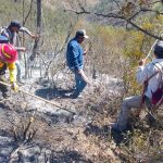 Reporta gobierno de Tamaulipas avance del 90% en control de incendio forestal en Jaumave