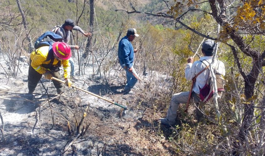 Reporta gobierno de Tamaulipas avance del 90% en control de incendio forestal en Jaumave