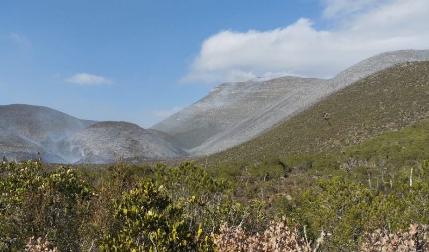 Inician labores de combate en incendio forestal en el ejido Joya de Herrera, Bustamante