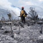 Tamaulipas logra la liquidación total del incendio forestal en Bustamante
