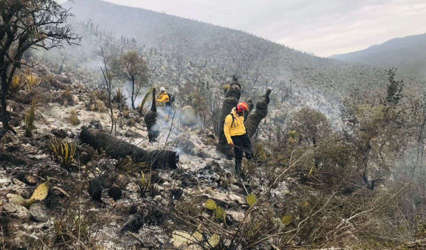 ATIENDE PROTECCIÓN CIVIL TAMAULIPAS PRIMER INCENDIO FORESTAL EN BUSTAMANTE