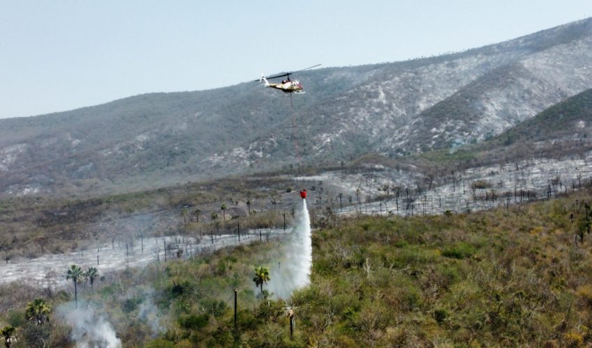 Realiza Protección Civil operaciones permanentes de control de incendios forestales en Tamaulipas