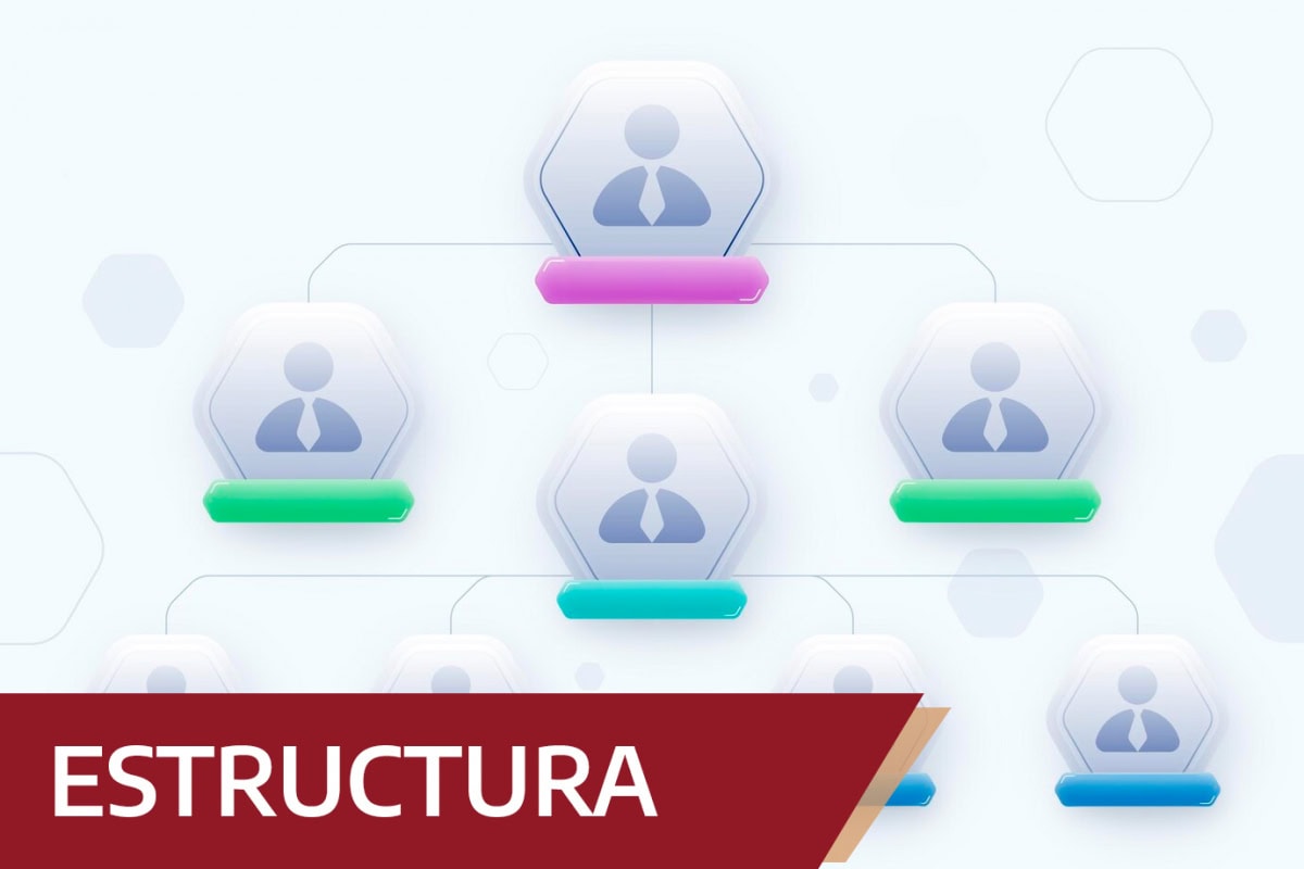 Estructura Orgánica