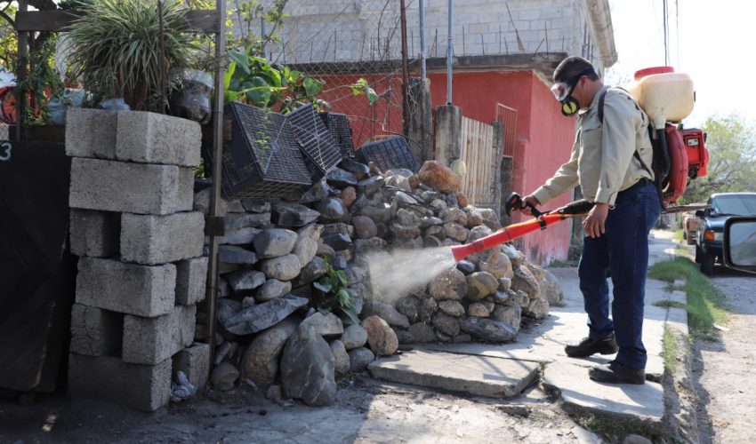 Exhorta Secretaría de Salud a la población a reforzar medidas de prevención contra el dengue