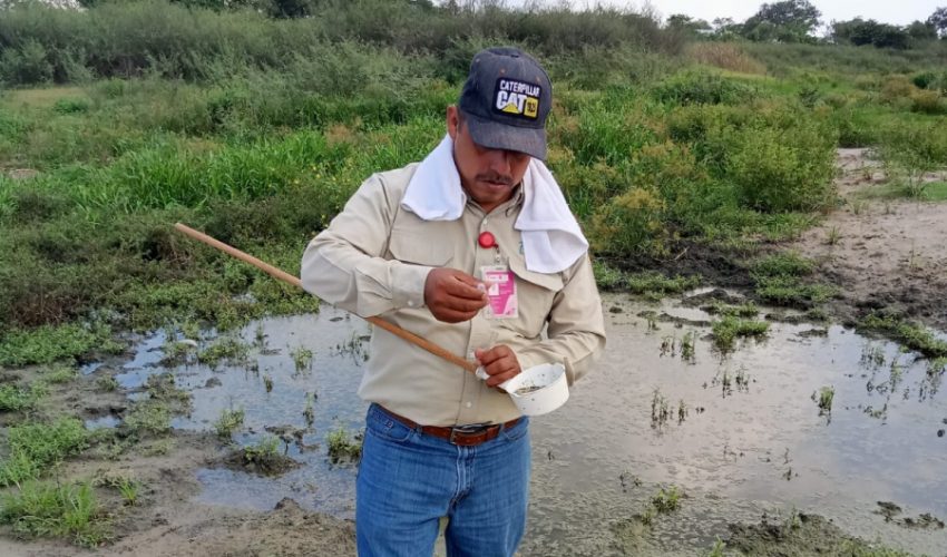 Detecta SST casos importados de paludismo