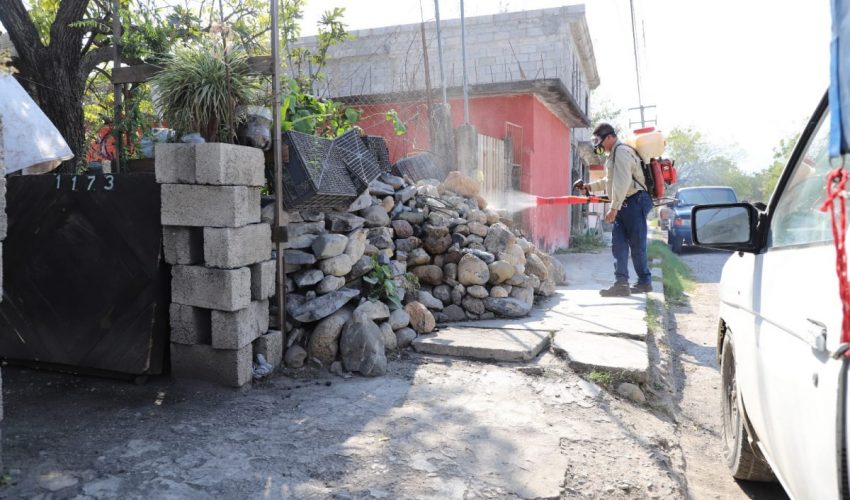 Pide Secretaría de Salud redoblar prevención contra el dengue