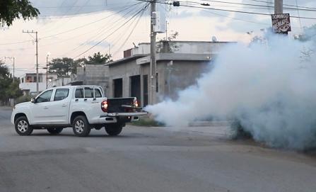 Acciones contra el dengue son oportunas pero no hay que bajar la guardia: SST