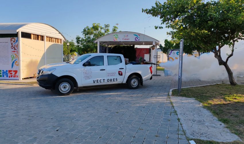 Continúa operativo de la lucha contra el dengue: SST