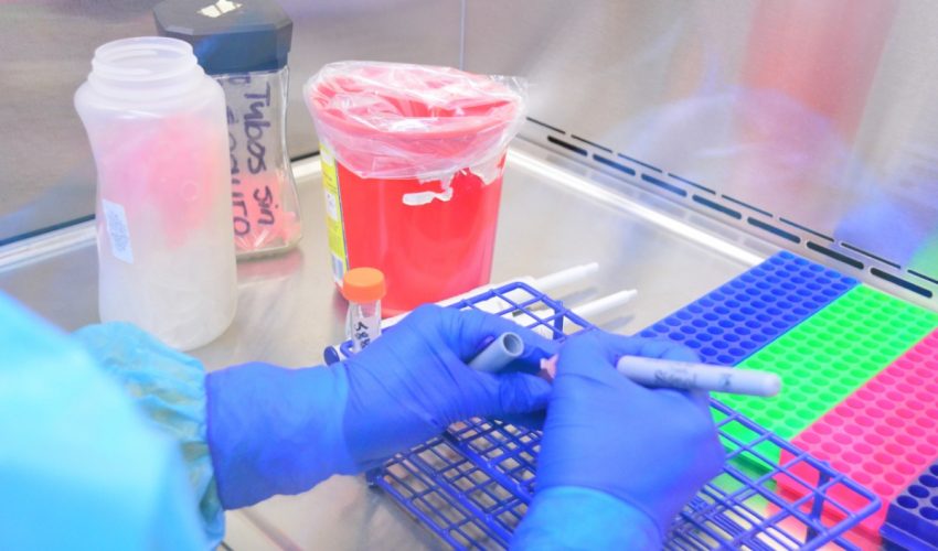 Confirma Salud 10 casos nuevos y 1 defunción por COVID-19 en Tamaulipas