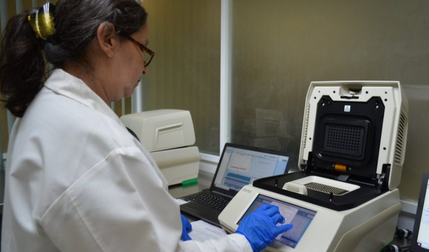 COVID-19: 3 nuevos casos confirmados para Tamaulipas, suman 382 en total